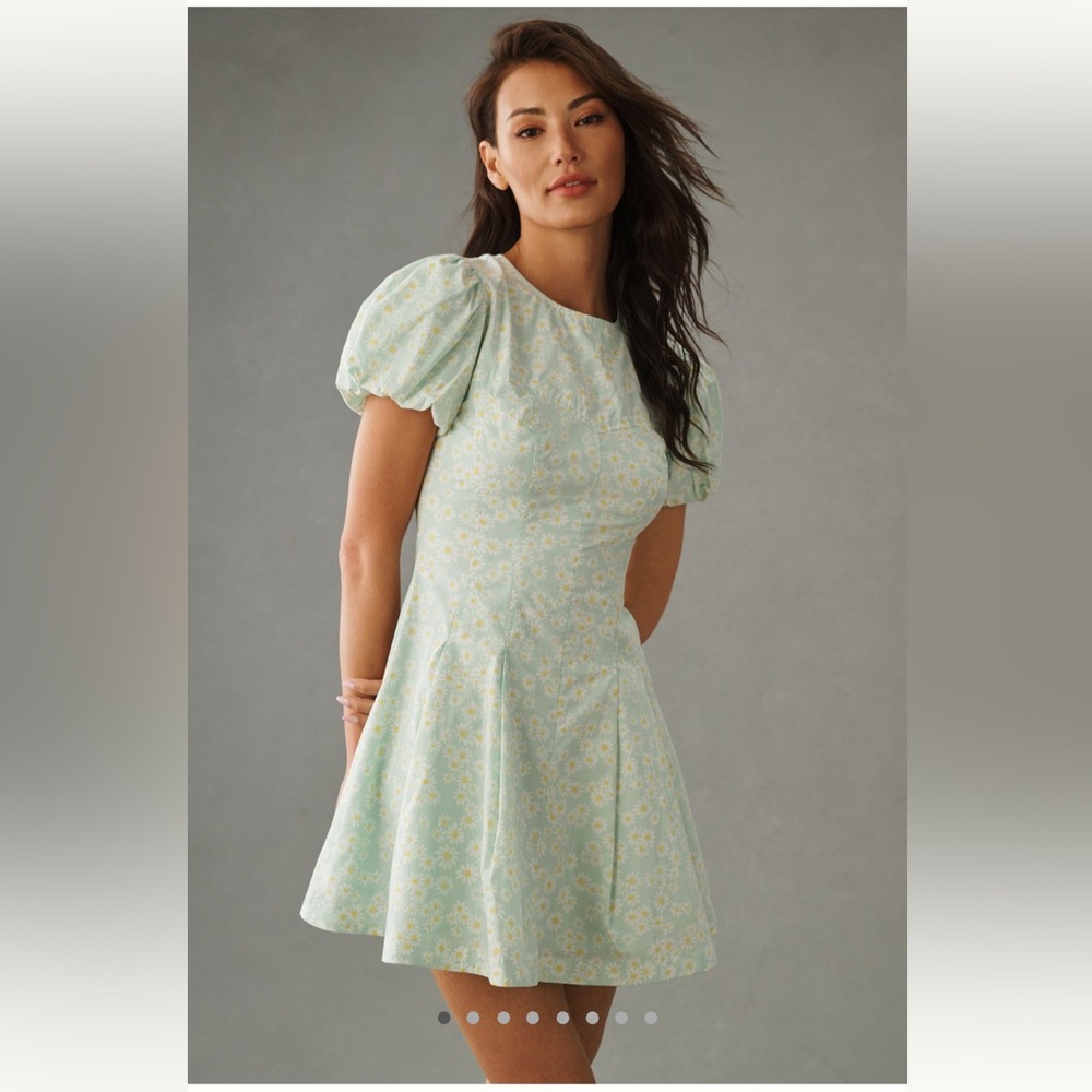 Anthropologie Cottagecore Floral Puff Sleeve Fit n Flare Mini Dress NWOT Size 10